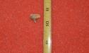 1/2" Eocene Cow shark tooth