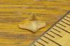 3/8" Angel Shark Tooth