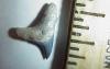 1/2" thresher shark tooth