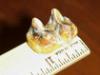 1 1/8" Tapir Molar