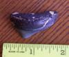 1 1/2" Posterior Megalodon Shark Tooth