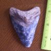 3 3/8" Megalodon Shark Tooth
