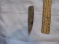 Sperm Whale Tooth