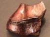 Partial Rhino Tooth