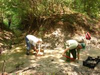 Shark Tooth Hunting in South Carolina