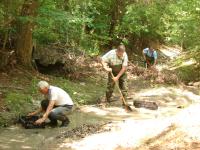 Hunting for Shark Teeth in South Carolina