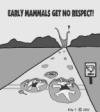 mammal crossing